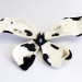 Jungle Big Butterfly Flower 2014. Brooch 18 x 10 x 1,5 cm. Oysters, polyester, opal, composite, silver.