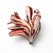 Parrot Tulip 2012. Brooch height 8 cm. Wood tuija (one piece!) paint, silver, reconstructed opal.