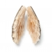 Wings 2013. Brooch height 8 cm. Mother of pearl, cement, silver, wood.